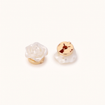 Bouton de Rose
